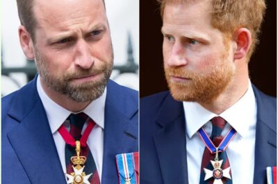 SH0CKWAVES: Prince Harry sparks fierce backlash for ‘stealing Prince William’s royal title’.K