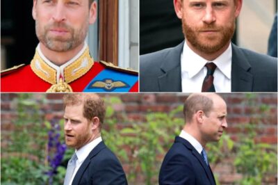 “A Line Has Been Drawn” : Prince William’s ‘clever move’ over Harry signals ‘no way back’ after bitter feud.k