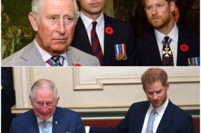 ROYAL BOMBSHELL: Prince Harry ‘FORCING’ King Charles into an IMPOSSIBLE CHOICE — HIM or Prince William — as a shock new chapter erupts in the royal feud
