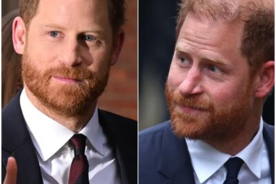 Breaking News:Prince Harry sparks ‘in laughter’ in High Court as he was questioned over his royal title