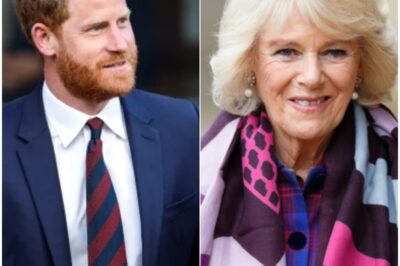 Royal Shоcking:Prince Harry’s comment about first meeting with Queen Camilla laid bare