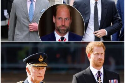 Royal Rift Reignites: Charles ‘Rolls Out Red Carpet’ for Harry While William Says “Too Much, Too Soon”