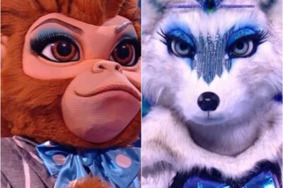 Masked Singer fans ‘disgusted’ as judges fail to save Arctic Fox as they’re unmasked alongside Monkey Business.k
