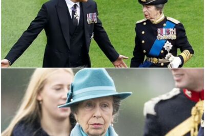Royal bоmbshell:Prince Harry makes brutal swipe at Princess Anne – and fans will be furious