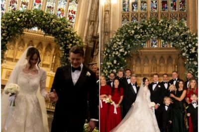 “Utter Cruelty’: Adam Peaty’s wedding speech ignites public outrage as he appears to abandon his own family in favour of fame