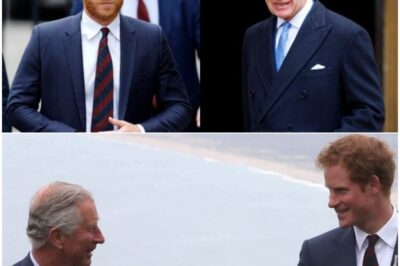 Royal chaos:King Charles will be heartbroken but he’d be mad to do what Prince Harry’s ‘just asked’