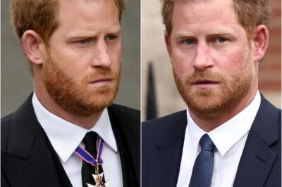SH0CKING— Prince Harry’s UK Security Set to Be REINSTATED, but ONE Critical Obstacle Threatens to DERAIL the Deal and Undercut His Plea at the Last Second.K