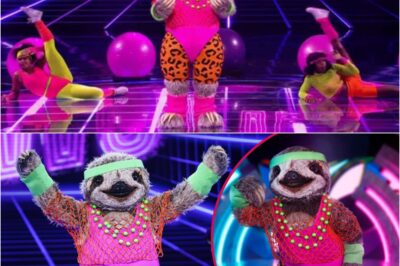 “I’d bet my life on it!”: The Masked Singer fans unmask Sloth’s true identity as they say it’s “definitely” This Morning favourite.k