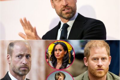 “This has crossed a line…”: ‘sickened’ Prince William ‘on the warpath’ over Meghan and Harry’s Princess Diana documentary plans – A nine-word quote that terrified everyone.k