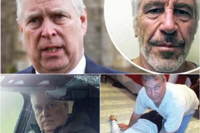 EPSTEIN BOMBSHELL: Leaked police files drag Prince Andrew back into the eye of the storm as SECOND woman comes forward with explosive claims — a night at a royal residence and “tea at the Palace” that has lawyers demanding answers.k