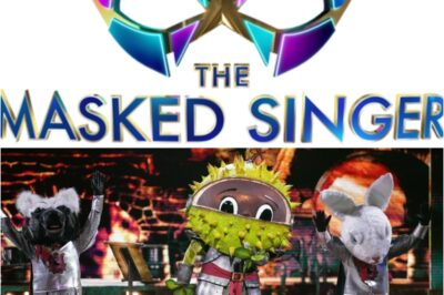 ‘ITV’s poster boy, of course’: Masked Singer fans cry fix over Conkers as identity ‘exposed’.k