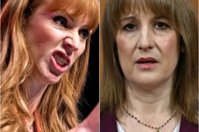 “THIS CAN’T GO ON”: Angela Rayner UNLEASHES Scathing Attack on 𝘙𝘢𝘤𝘩𝘦𝘭 Reeves, Turning Up the Heat on 𝘚𝘵𝘢𝘳𝘮𝘦𝘳 as Party Tensions Explode.k