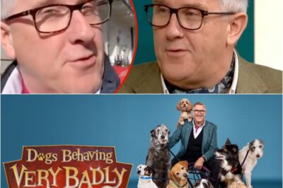 OH NO!!! Dogs’ Behaving (Very) Badly’s Graeme Hall breaks silence as show is suddenly pulled from C5 midway through the series … Shock Move Leaves Fans Reeling.K