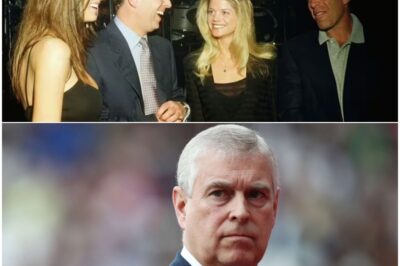 bоmbshell:Andrew has just shamed the Royal Family and Britain – there’s only one thing left to do