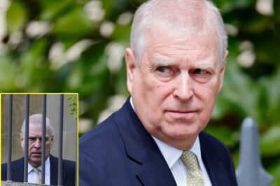 “THE PUBLIC HAS SPOKEN…”: Britain Delivers Stark ‘Verdict’ on Royal Family’s Handling of Andrew Mountbatten-Windsor Scandal ,K