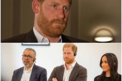 Breaking News:Prince Harry Delivers Urgent Plea In New TV Interview As He Calls For Gaza Aid Corridors To Open