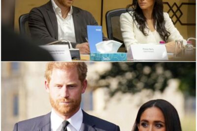 Snubbed In Jordan: Three Bombshells That Rocked Harry And Meghan’s ‘Royal Tour’