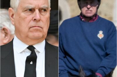 SH0CK NEWS: Royal family warned a ‘kiss-and-tell-all memoir’ from Andrew Mountbatten-Windsor would be ‘final nail in the coffin for the monarchy’.K