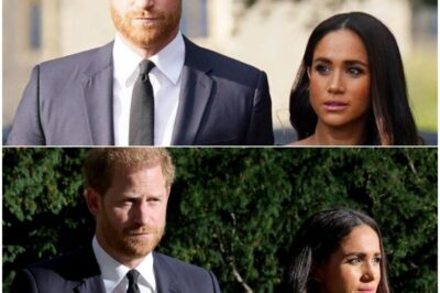 Prince Harry ‘riles up’ Meghan as he questions her risky new business expansion