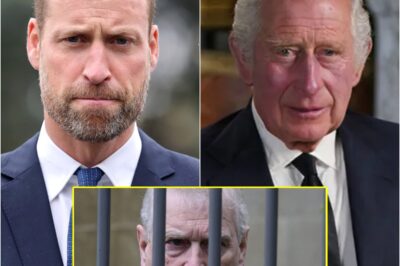 “ADDRESS THE NATION NOW” — King Charles and Prince William Urged to Deliver Televised Statement as Andrew–Epstein Scandal Intensifies.k