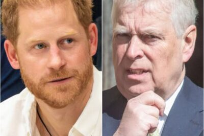 HARRY HITS BACK: Prince Harry’s brutal swipe at uncle Andrew Mountbatten-Windsor amid “shameful” scandal.k