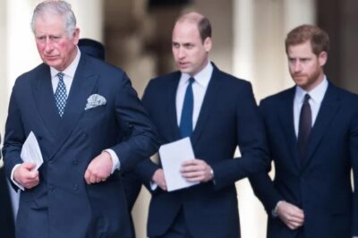 Harry urged into William and King Charles ‘peace talks’ – but he faces devastating blow
