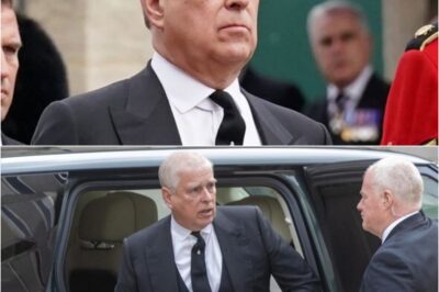 ‘THE GOVERNMENT HAS FINALLY DRAWN A LINE.’: Prince Andrew BANNED by the UK Government from Carrying Out One Major Royal Privilege… Humiliating Blow Leaves the Disgraced Royal Further Isolated from Public Life!K